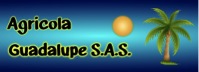 Logo Guadalupe